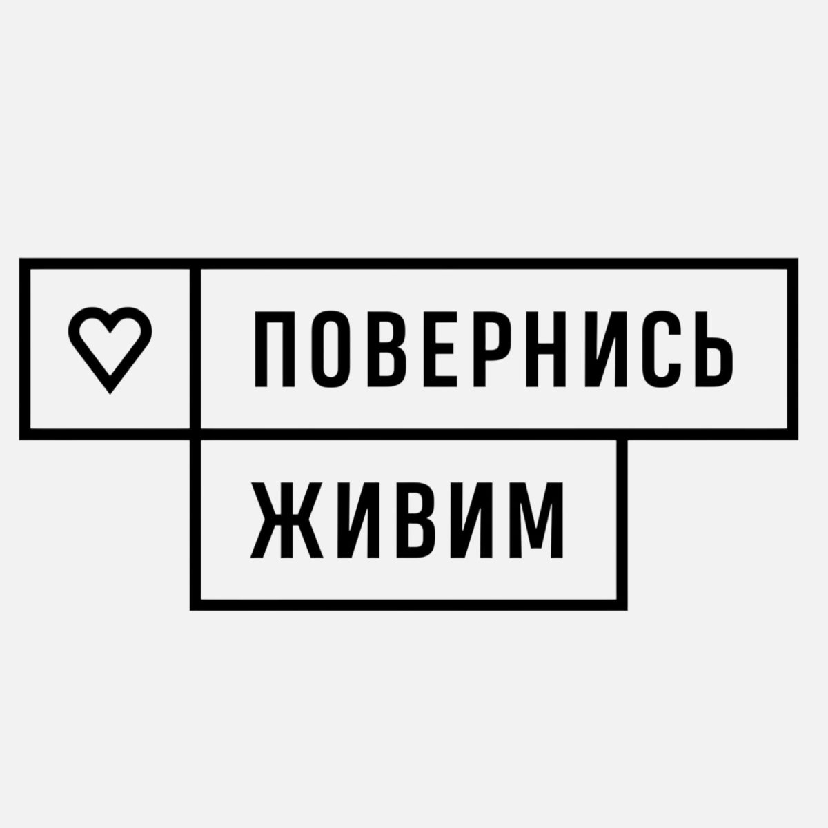 дрон (2) БФ Повернись Живим